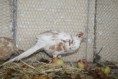 /album/fotogaleria/mg-3704-jpg/