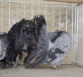 /album/fotogaleria/mg-3750-jpg/